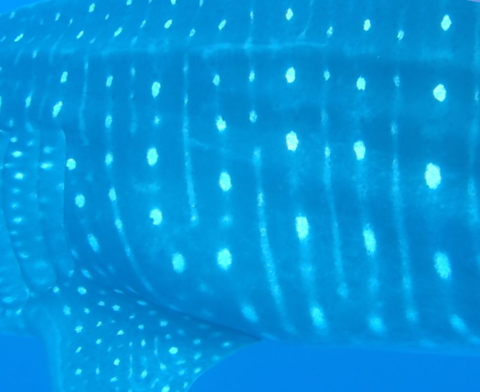 ec939f0b-9893-49a3-b3a7-8fb25ff7e280