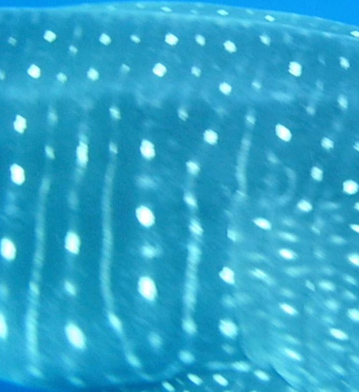 ec939f0b-9893-49a3-b3a7-8fb25ff7e280