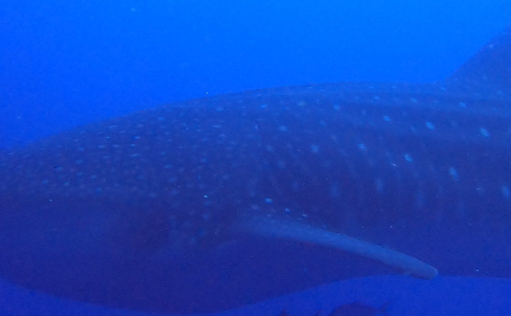 20fd8385-faca-4f96-a5db-ed459df3ccb0