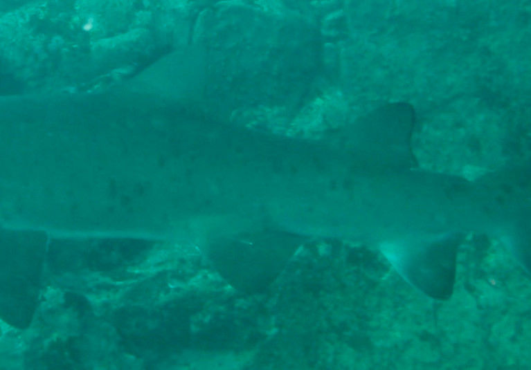 ff1cac0f-6066-4d29-849d-78d341cc5ec3