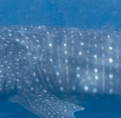 b5d688b7-415d-4ae9-b02f-0c1bf935c5b0