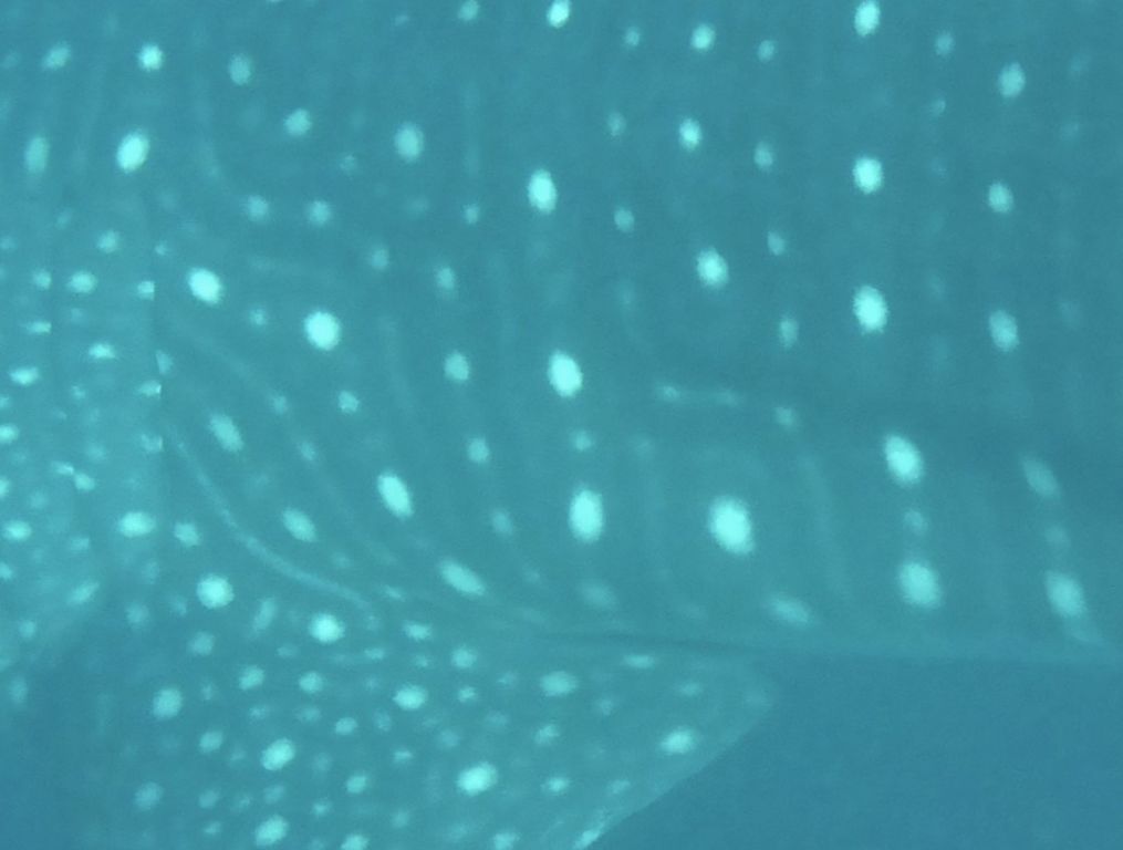 f47d049e-d7ec-47bc-a0ab-31088b2d548e