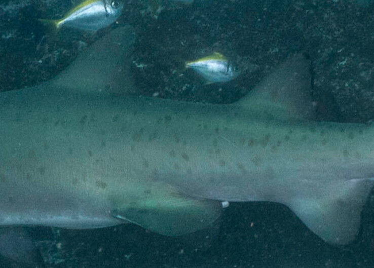 b3ffd0f2-a7b0-4f7e-b6f4-eb16c6c3a245