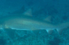 6ab547fe-e604-4b98-955c-b9f541035b35