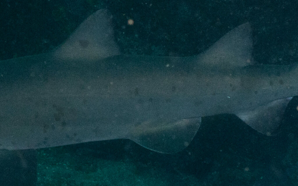 241d8fe4-7ec8-4cfc-a3a5-e44a64b08dd0