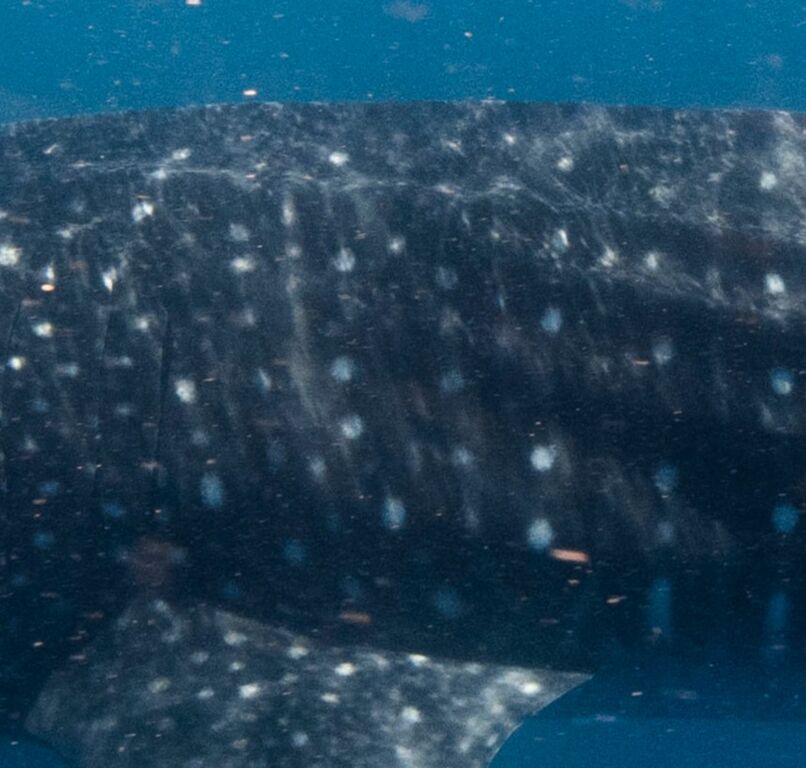 1741e20e-d965-4b0e-9c61-66d6b96e5dce