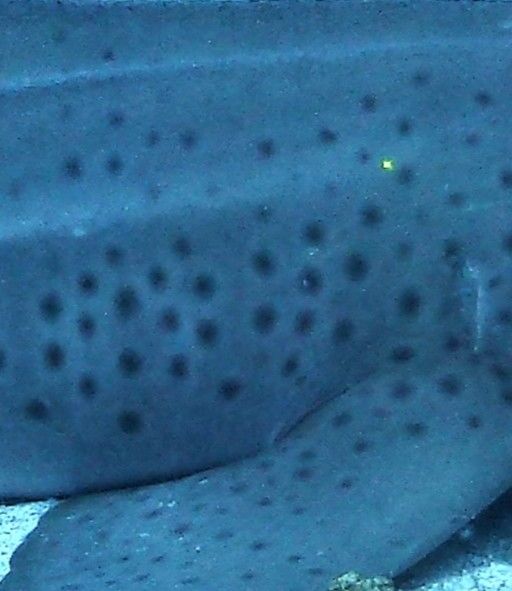 638f4934-8aec-44bd-aabf-946649a352ad