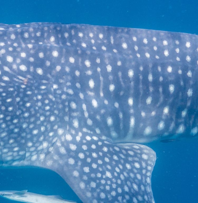 13650912-9b34-45c7-8af3-96ec143c0399