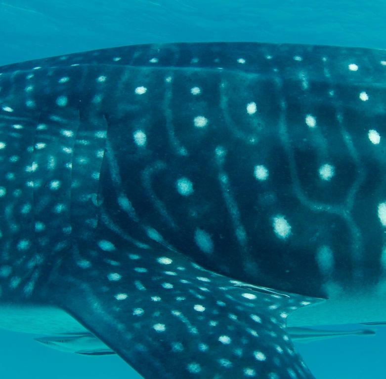 450e8760-1193-4cf2-9040-a7c7c2ff80c6