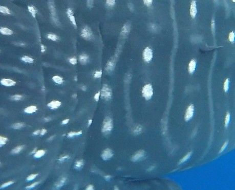 1048e98e-5d8b-4edc-9c22-ab2e8c568ea0