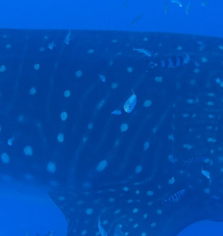 5a866c52-06b2-415a-adb3-d4a70b761b9d