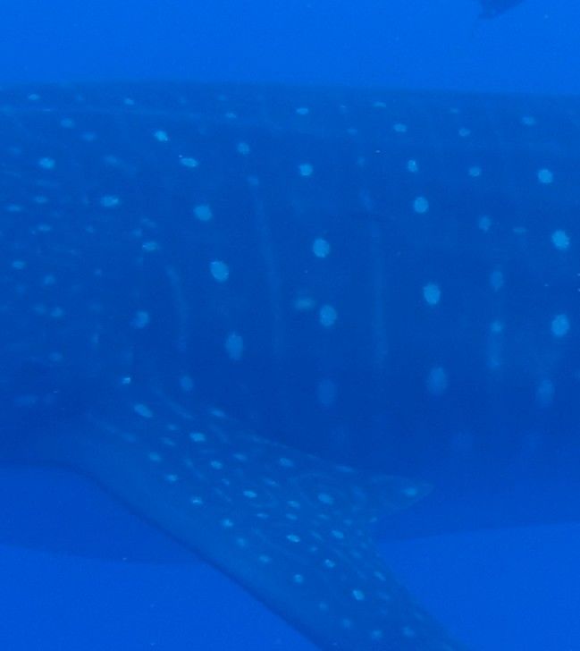 5a866c52-06b2-415a-adb3-d4a70b761b9d