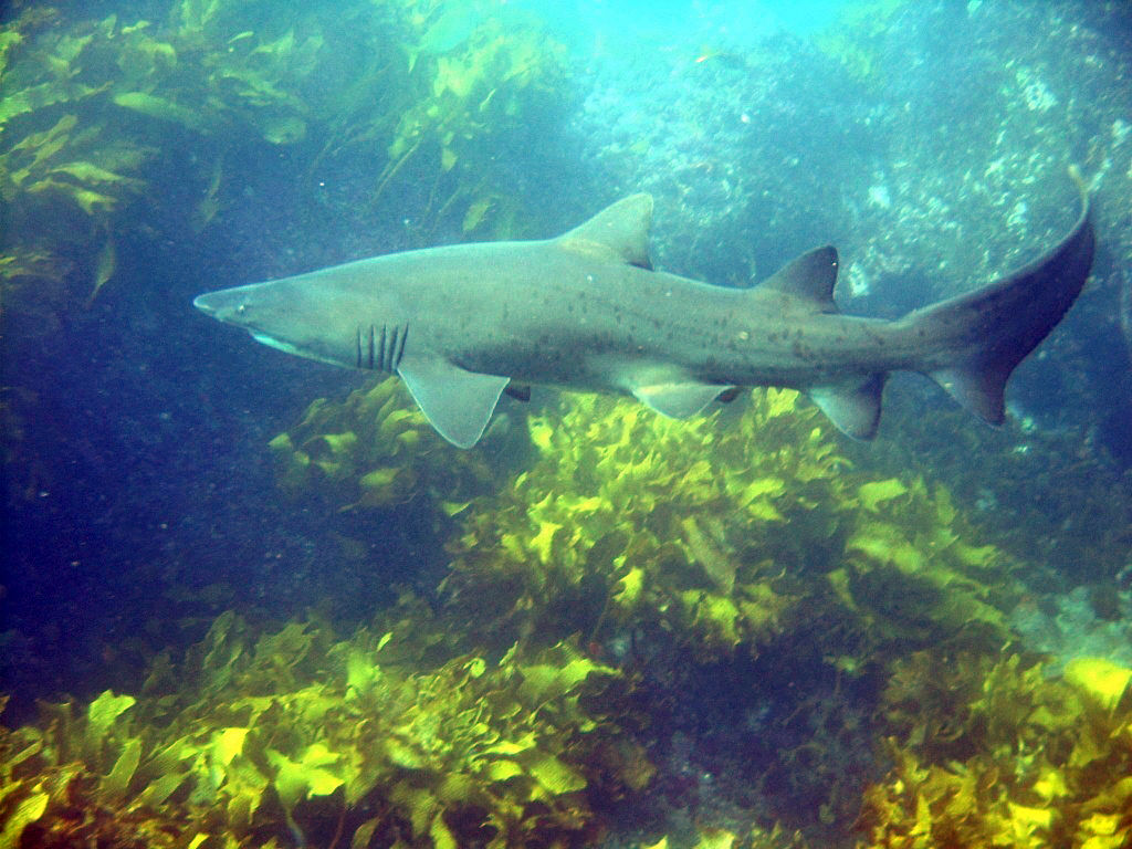 eeacfe97-4e77-4808-92ff-5186b7c2ef56