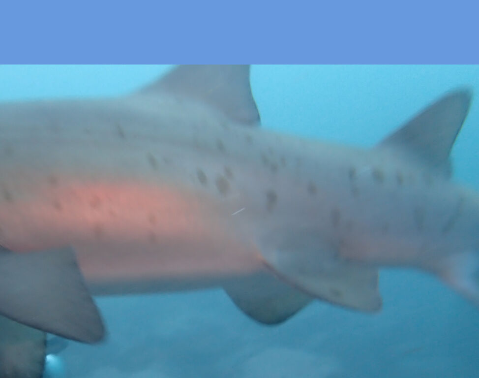 09f1bb00-1c24-4531-aba5-f3e58fbf9555