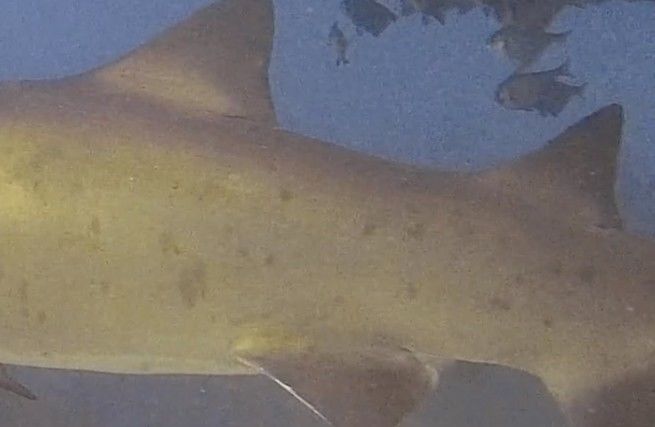 32692a94-7952-4950-85a3-7277810c6e72