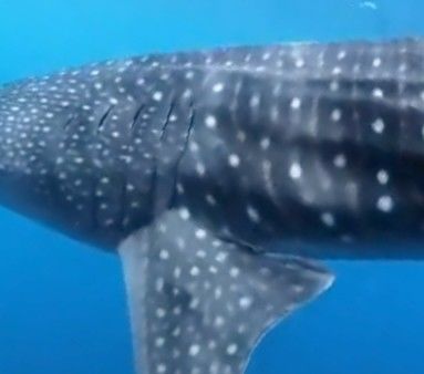 d799e541-db98-4af4-a4bf-e8e2a807ef73