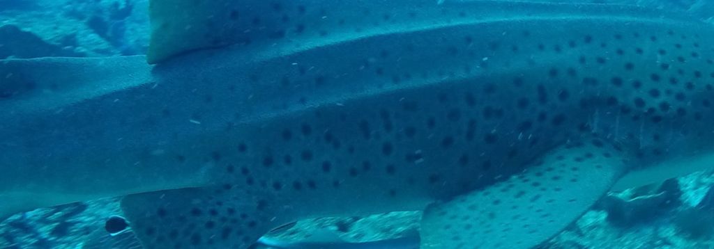 c02b565f-638b-4ac6-8eab-5b97029ce3dc