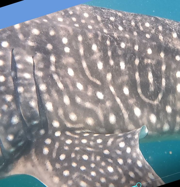 c6410345-87ac-46d0-b167-959ff18b6e43