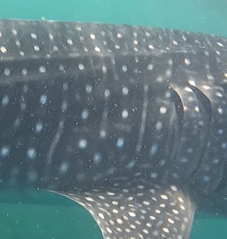 c6410345-87ac-46d0-b167-959ff18b6e43