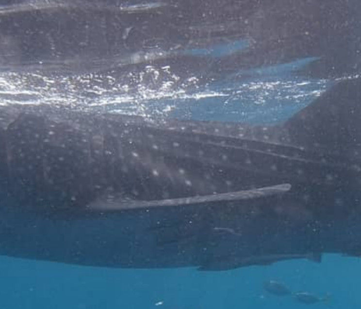 d9ac873a-e42a-45fe-9fb2-e50e100cf7b8