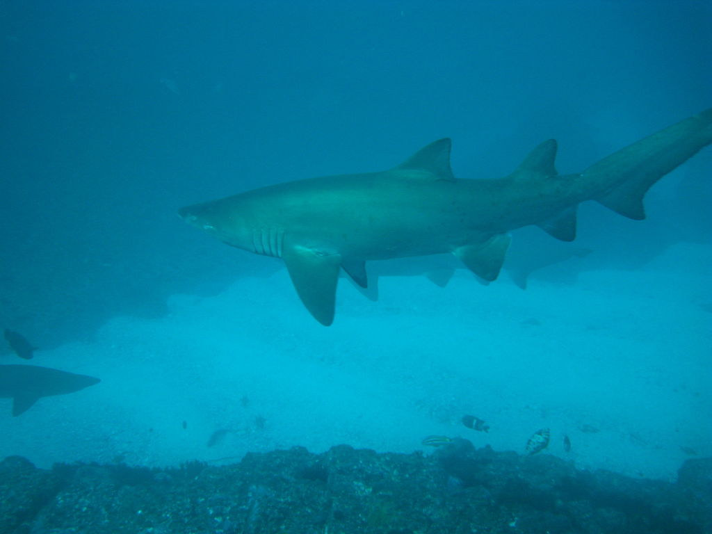 335150db-1564-492c-bfe7-fd0267dfbbc2