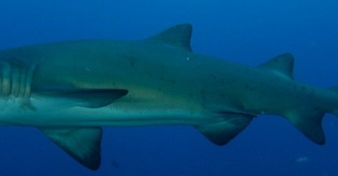 80b05c19-441f-4d1d-a7f3-204b160a0e8b