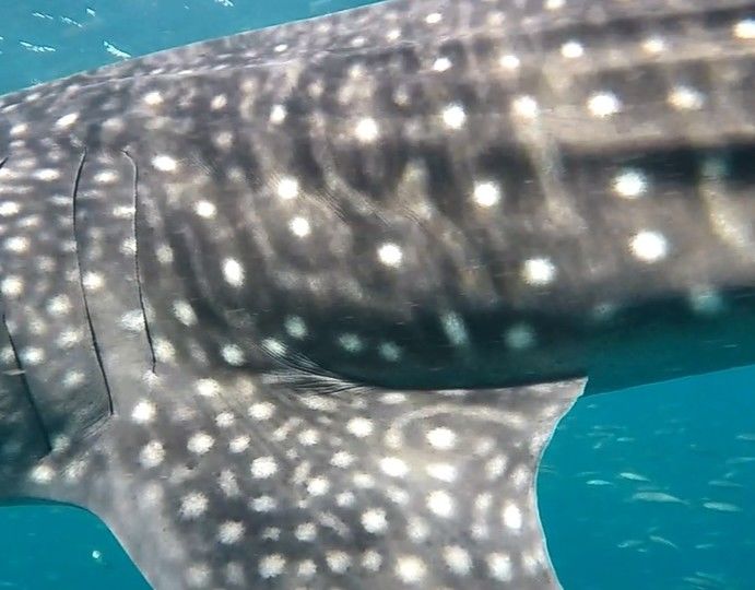 0e3f9d23-7664-472c-8549-644910165d4a