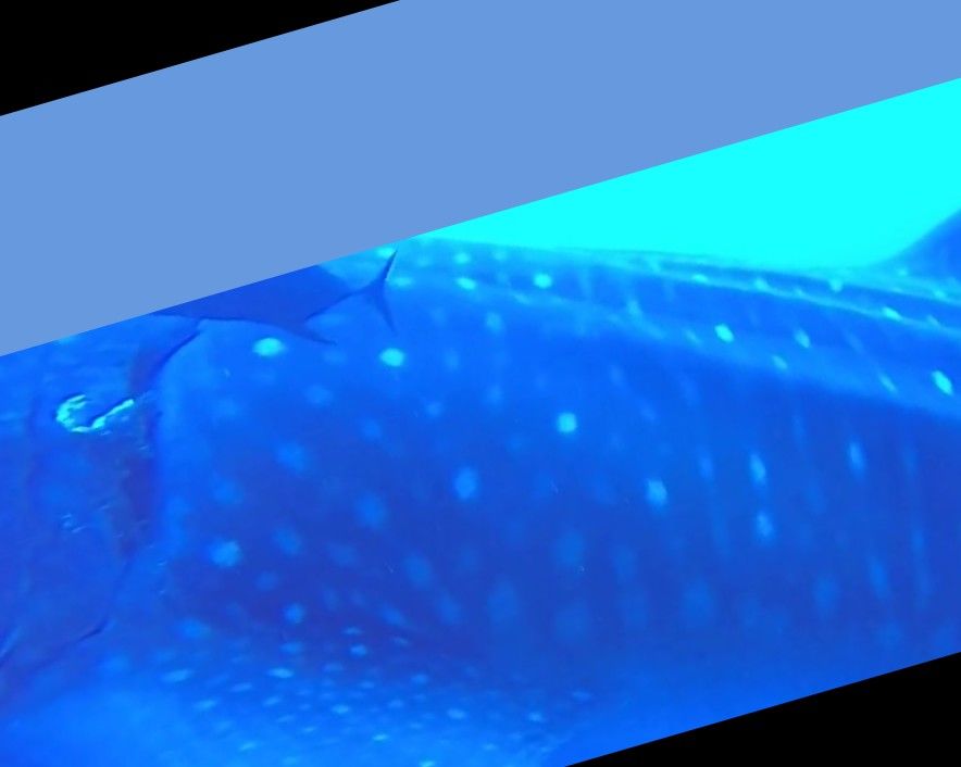 97be2e9a-92fd-44c2-95a0-78f4e96e45dd