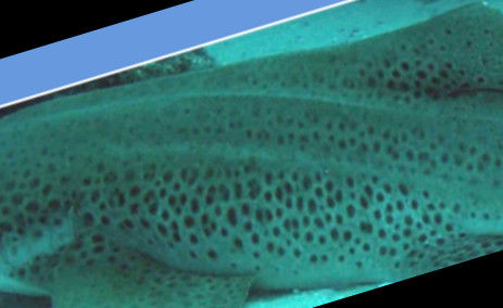 948ad662-a9d3-4ab3-9bd5-47ac18820a45