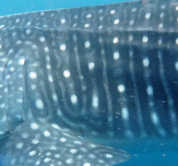 c5229f6e-36f6-4711-8397-0ee86f7b5fbf