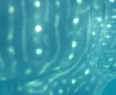 8e658a7b-187c-43a8-a6e7-bb518bd56657