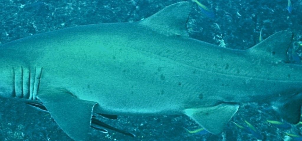 75cf141a-0839-48f9-bf17-88b296fa54f1