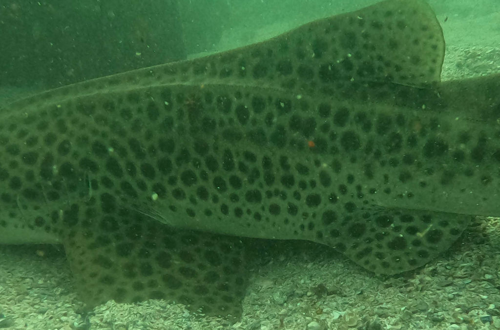 1d109c53-136c-4040-8388-da9b6105b299