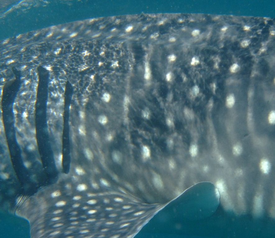 adc292ea-d9fc-49f7-8a9b-3d88e929f01d