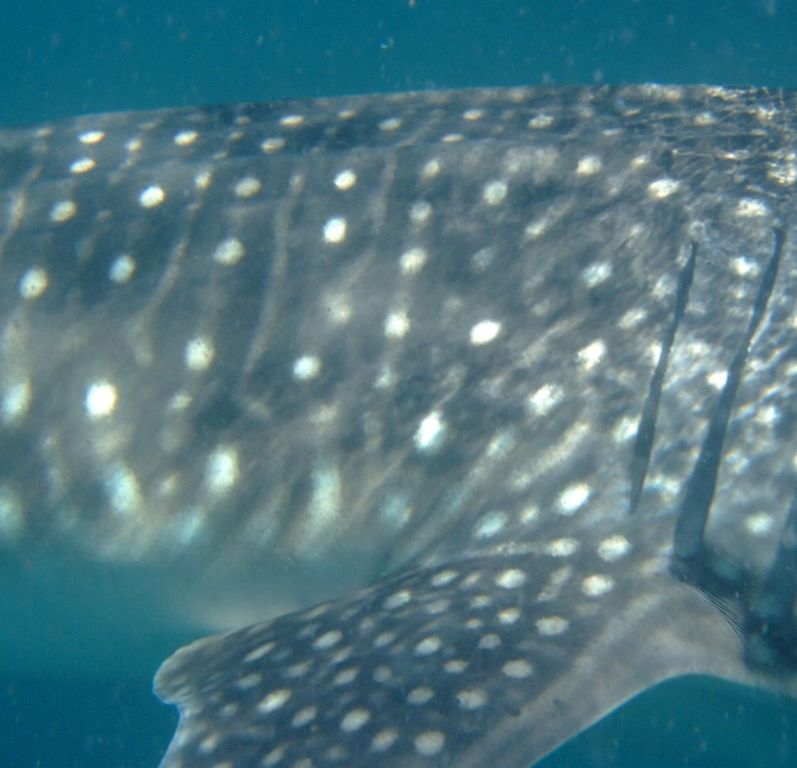 adc292ea-d9fc-49f7-8a9b-3d88e929f01d