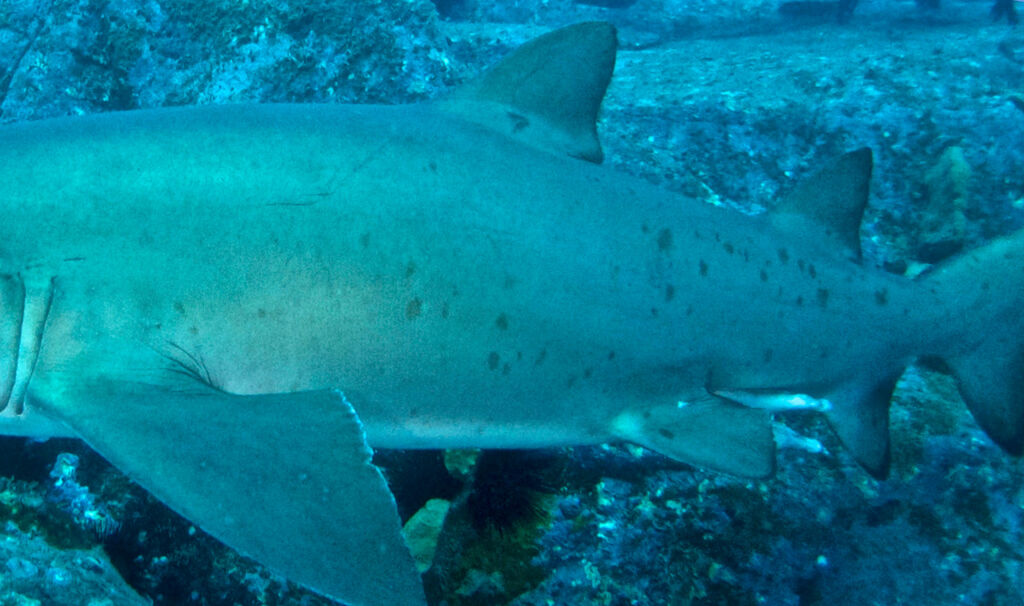 c29ba367-3b04-48b3-b2f1-cb49f0da686c