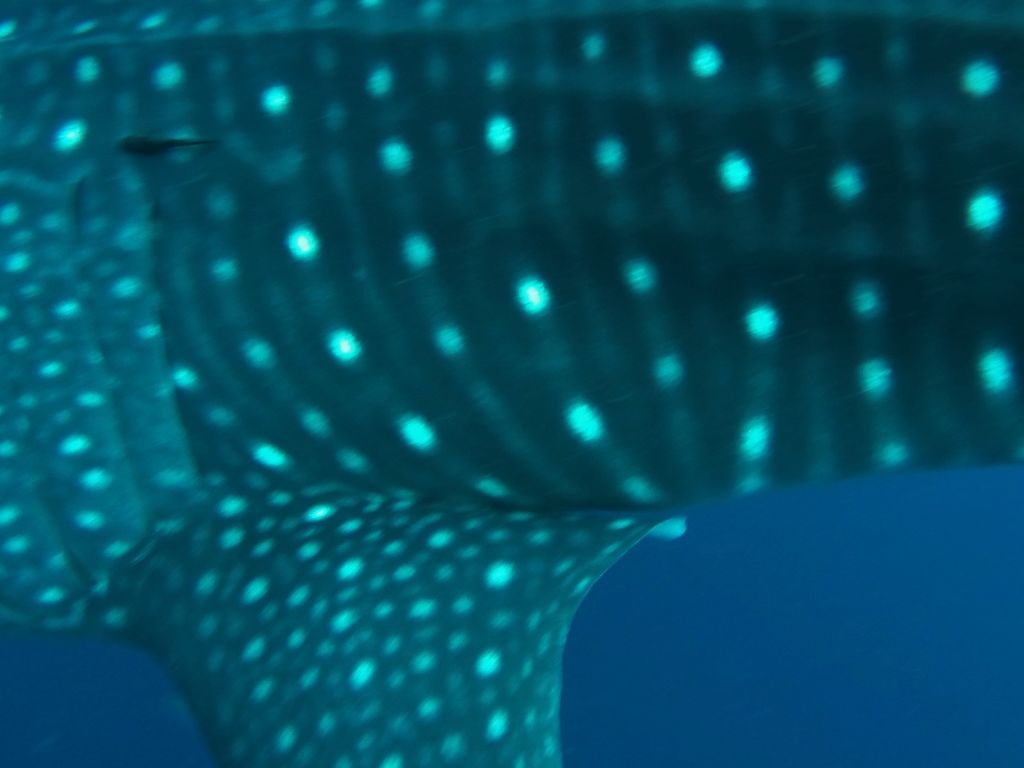 db269912-1e15-47e7-8b11-3125112402e5