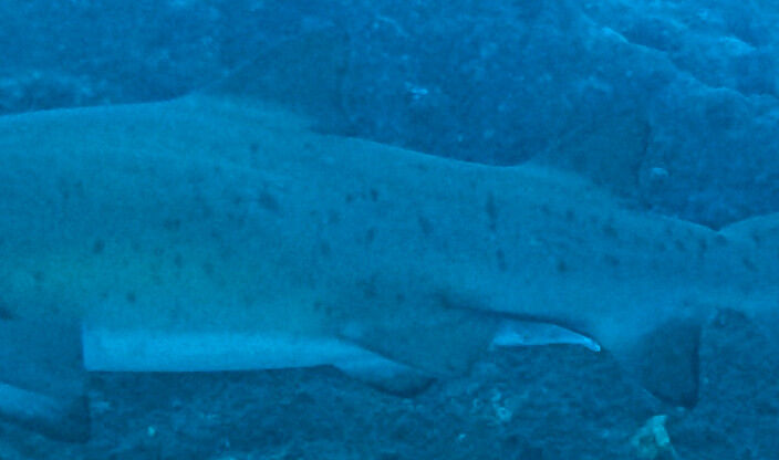 dcac5541-9282-4a36-a643-637e2bdae207