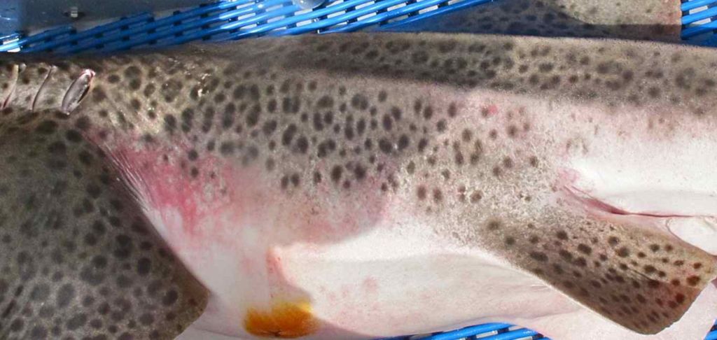 5140b099-9a50-4a14-8bd5-c6e5a7571f52