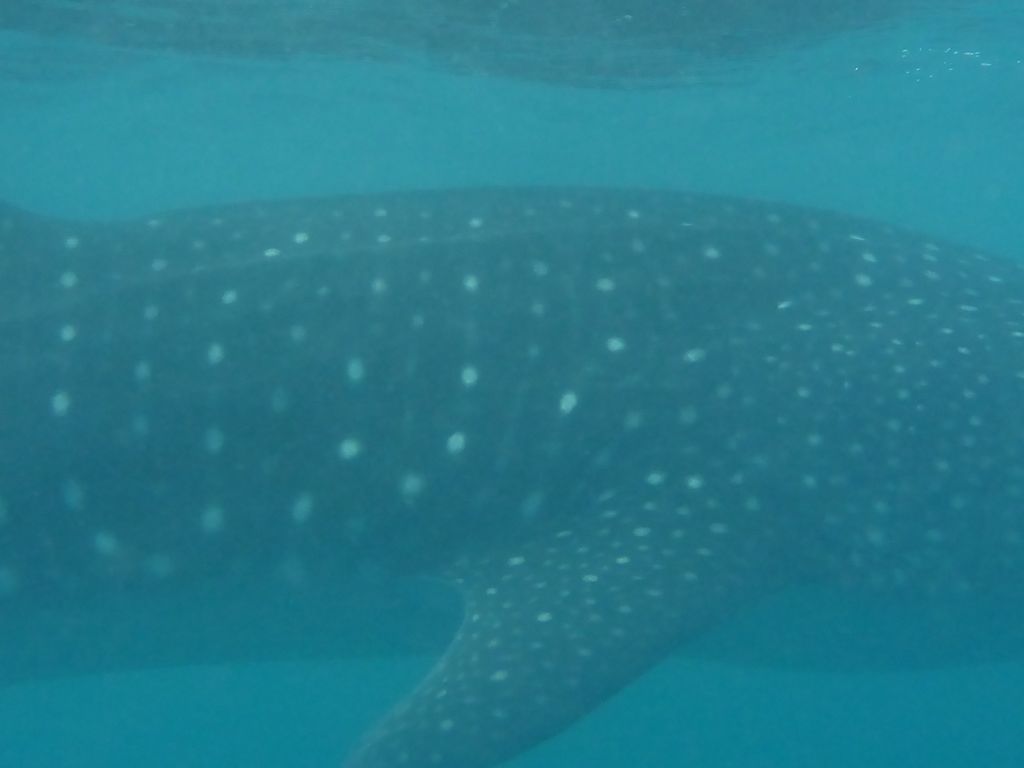 b15e8a1a-6ffd-4890-9290-e4d3da96c603