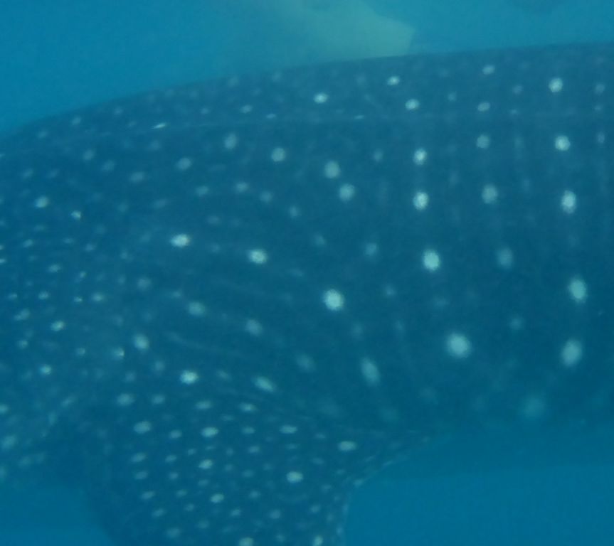 b15e8a1a-6ffd-4890-9290-e4d3da96c603