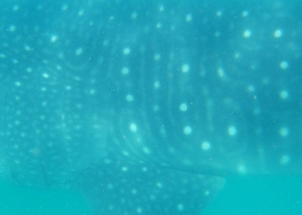 ccd77028-6591-4833-80b5-778f9a6bf197