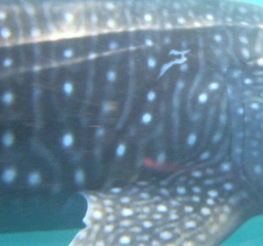 1866eb0f-f592-4f8c-9ad7-15eb00941b52