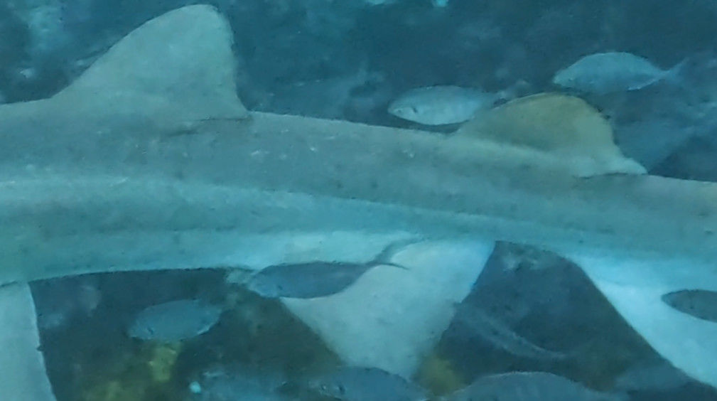 55fdb04a-ec5d-499b-ab72-3d8c35782e87