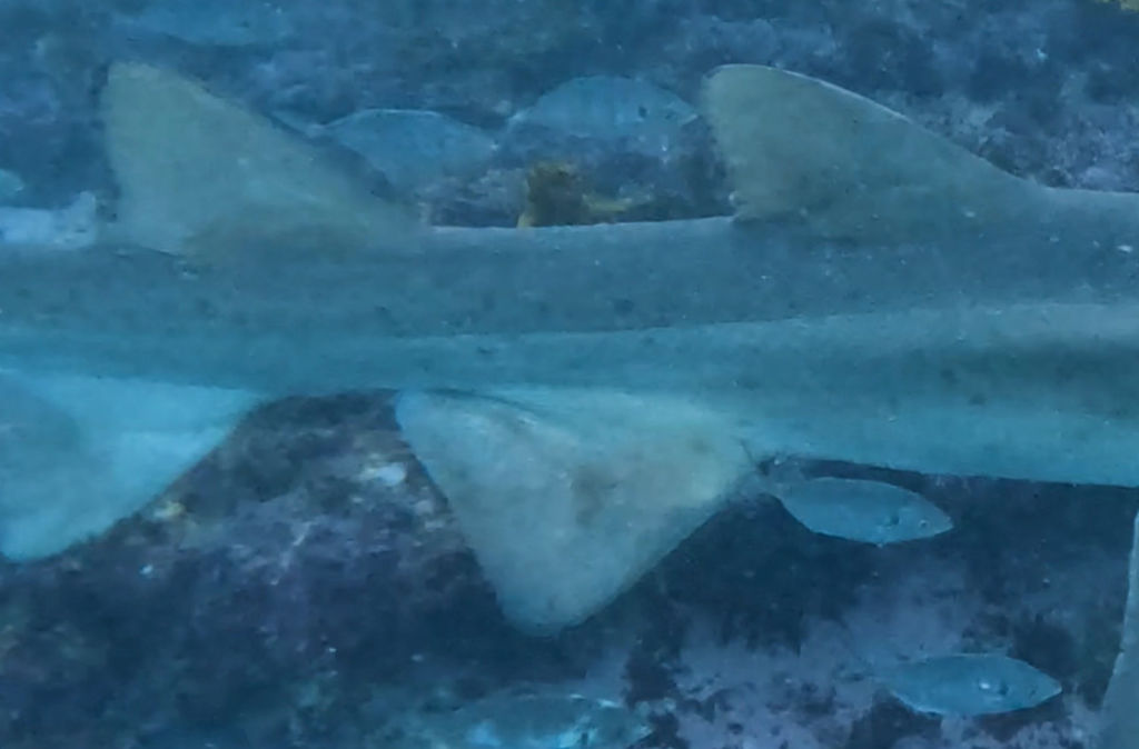 55fdb04a-ec5d-499b-ab72-3d8c35782e87