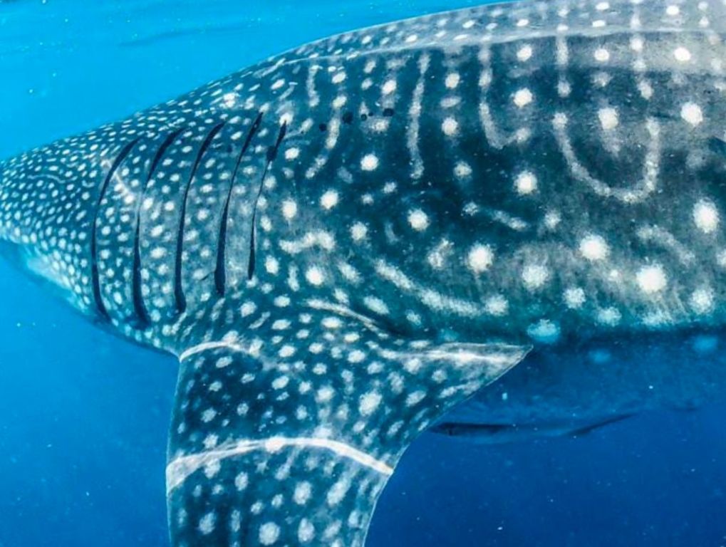 8db4bb4f-6b4a-4f5b-aeb5-c62fd815fe4f