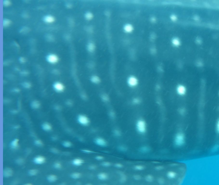 22bc7e7e-7890-4ea2-829d-dd92d076a732