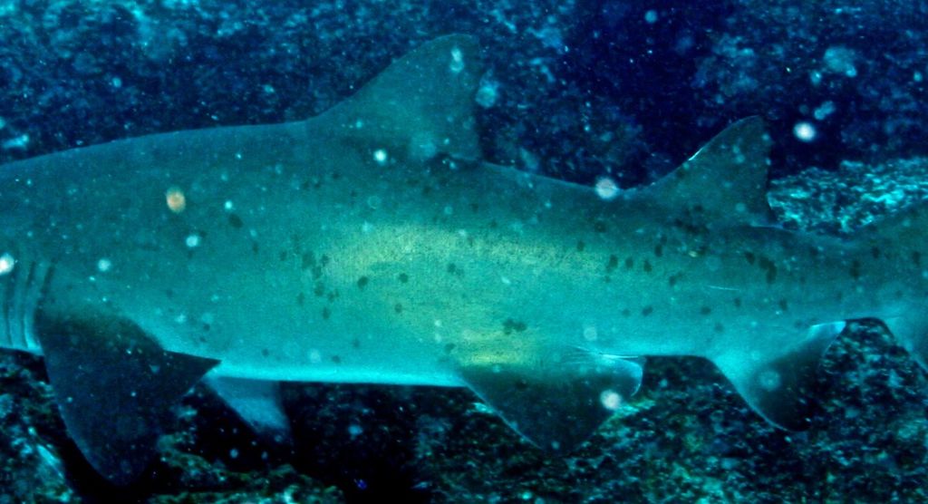 038dfc3d-d5a3-4a52-b5df-4e25e7472589