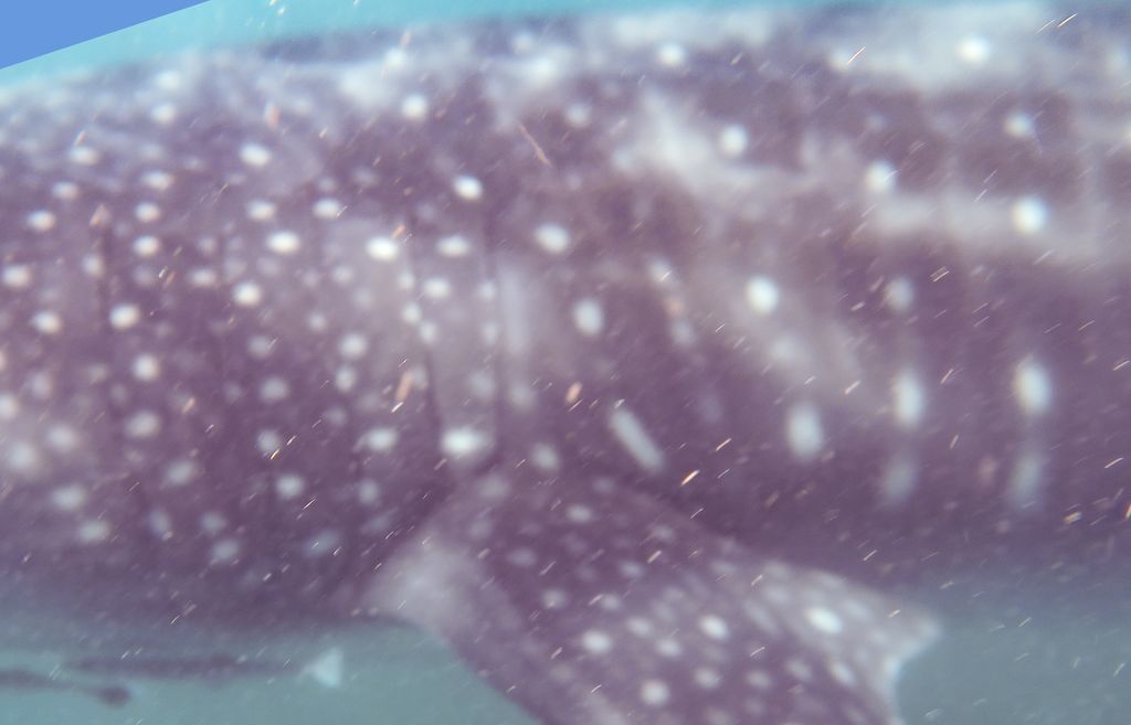 22280266-898a-4ae4-81c4-c681a435085a