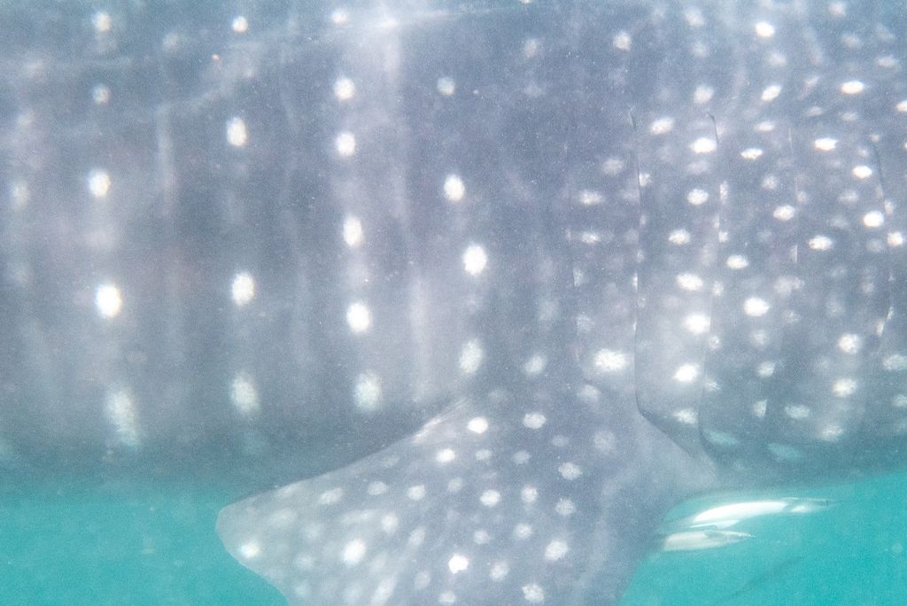 22280266-898a-4ae4-81c4-c681a435085a